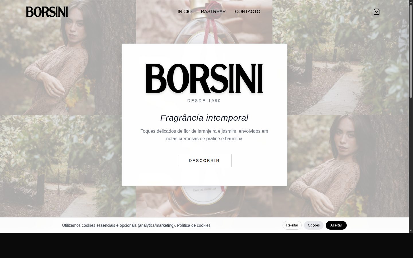 Borsini Website